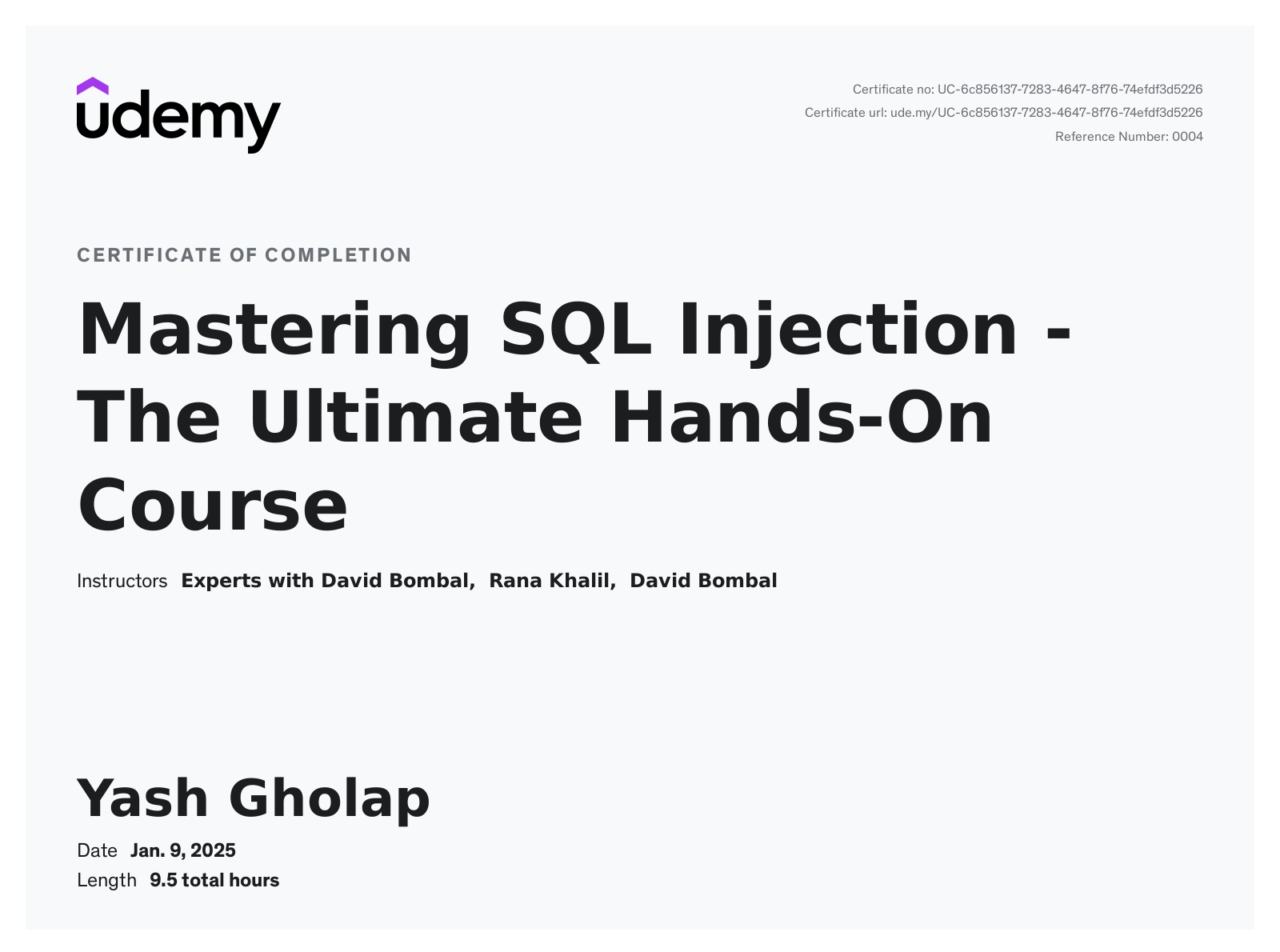 Mastering SQL Injection (Udemy)